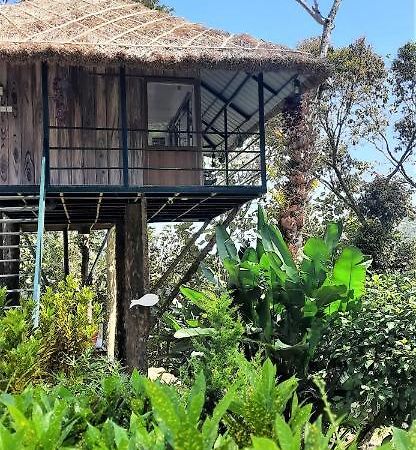 테카디 Noah'S Nest Tree House 아파트 외부 사진
