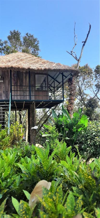 테카디 Noah'S Nest Tree House 아파트 외부 사진