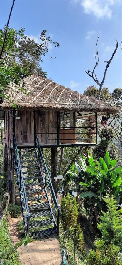 테카디 Noah'S Nest Tree House 아파트 외부 사진
