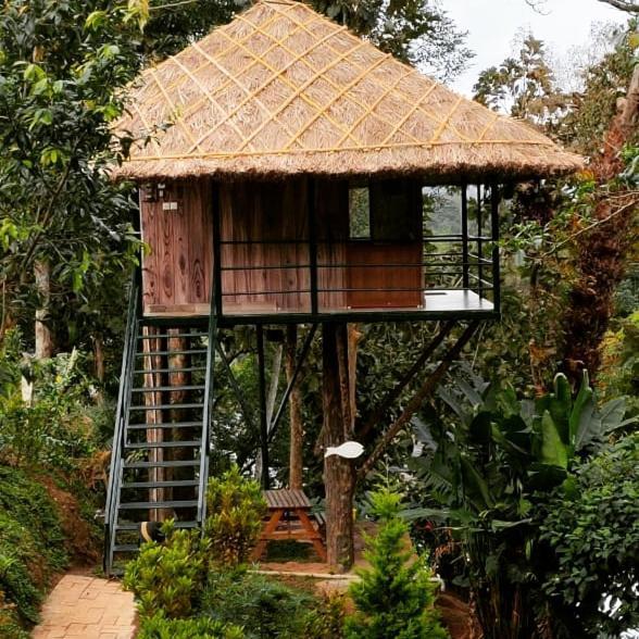 테카디 Noah'S Nest Tree House 아파트 외부 사진