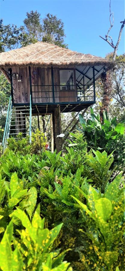테카디 Noah'S Nest Tree House 아파트 외부 사진