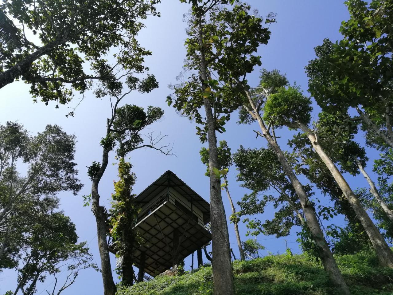 테카디 Noah'S Nest Tree House 아파트 외부 사진