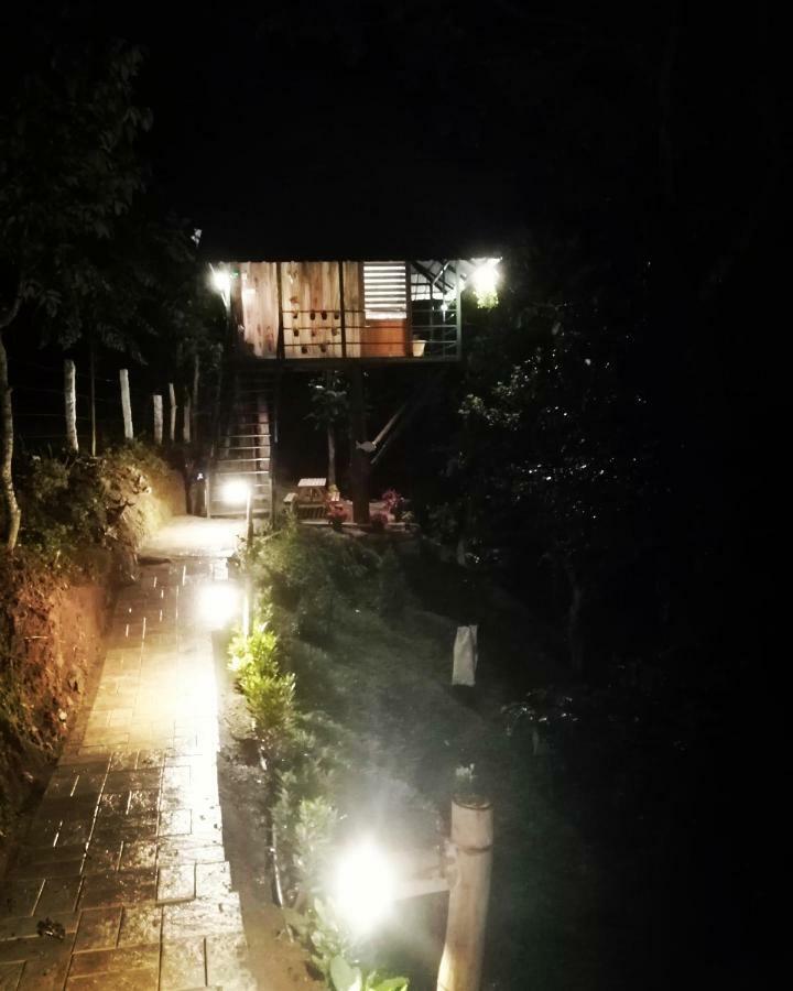 테카디 Noah'S Nest Tree House 아파트 외부 사진