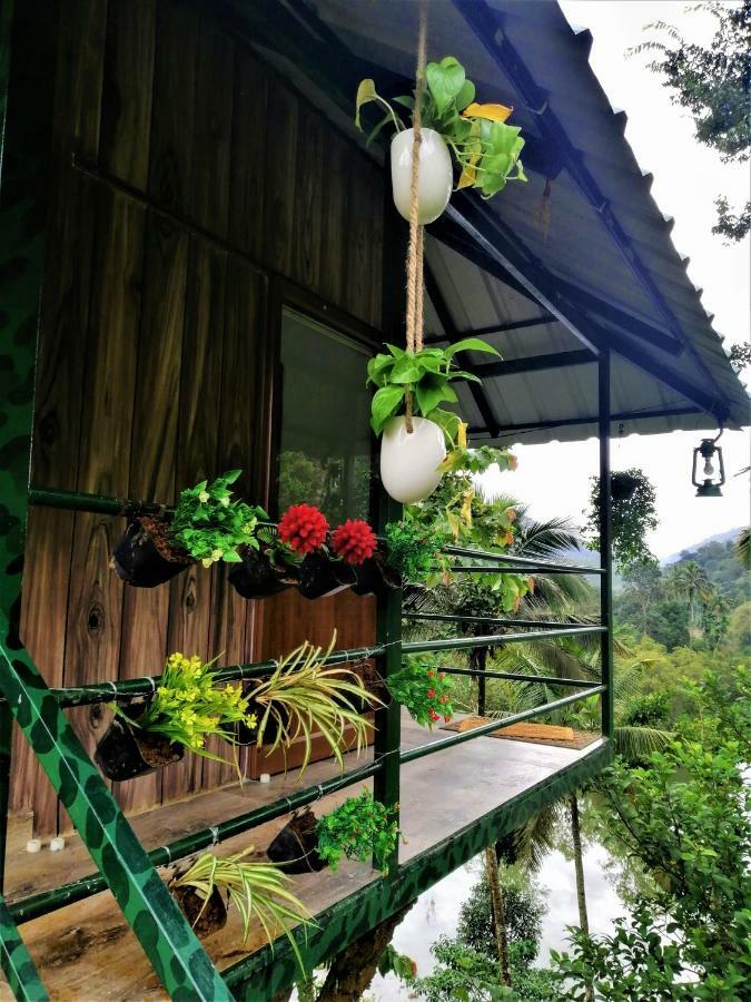테카디 Noah'S Nest Tree House 아파트 외부 사진